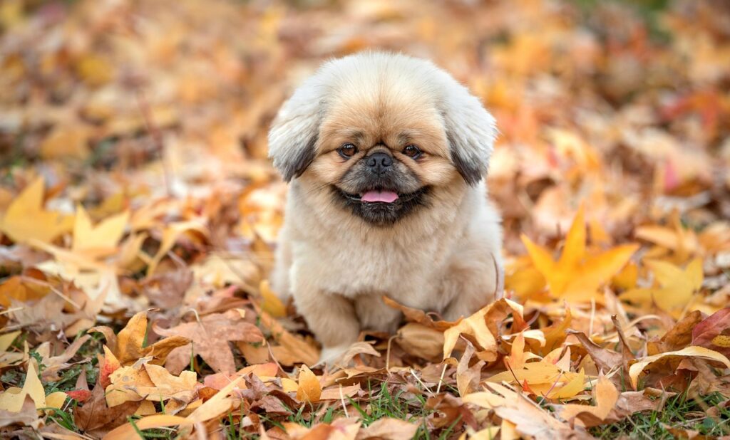 スマホ証券の評判は本当に良いのか？