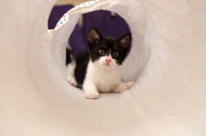 インデックスファンドの少額投資におすすめな商品は初心者向け？