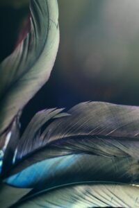 新NISAを楽天証券でスマホから開設する手順は？