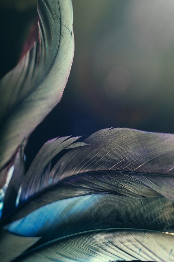 新NISAを楽天証券でスマホから開設する手順は？